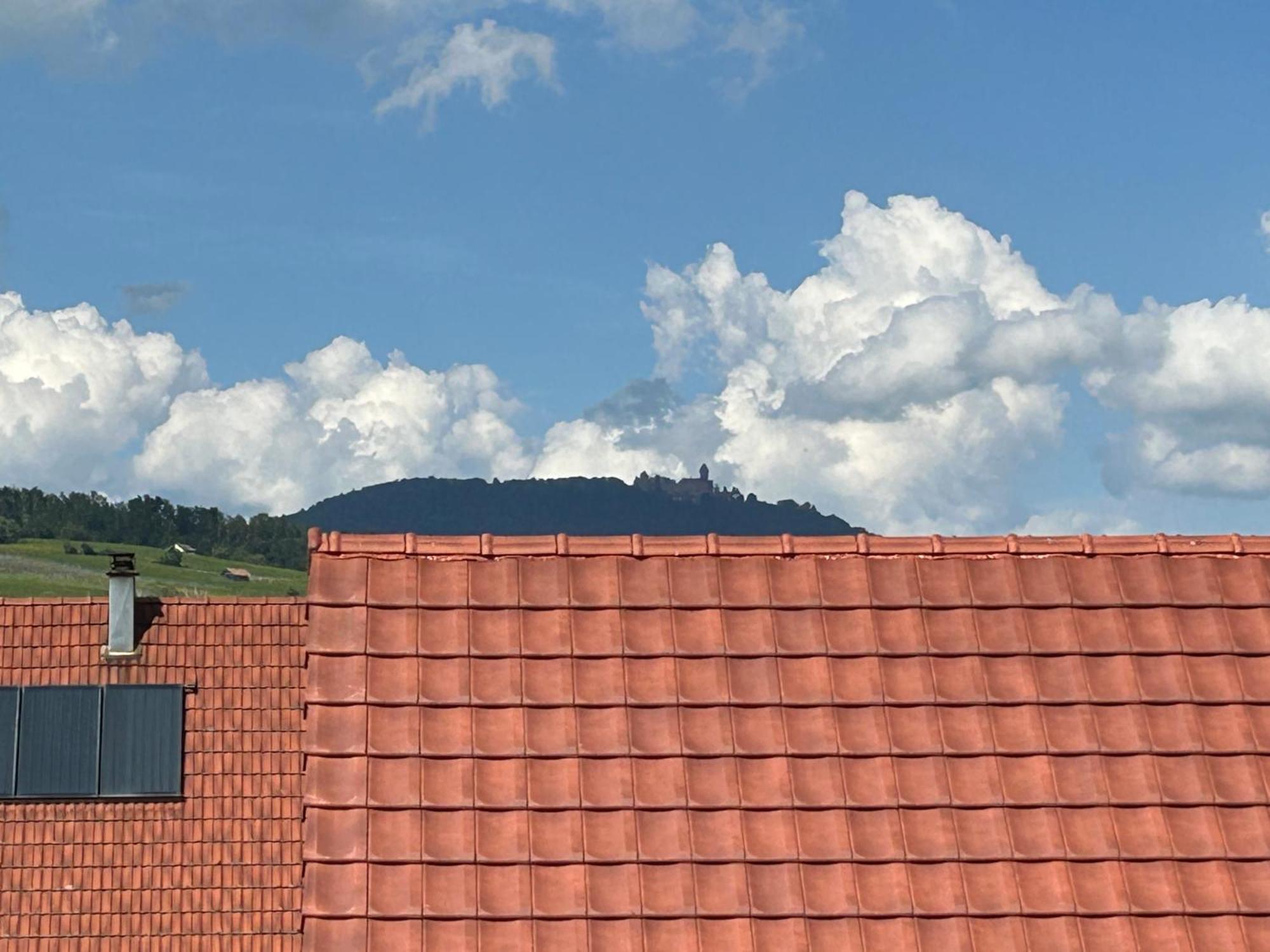 Gite Neuf En Duplex Tout Confort Ribeauvillé Exteriér fotografie